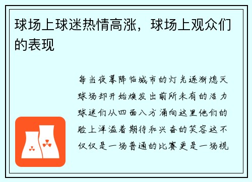 球场上球迷热情高涨，球场上观众们的表现